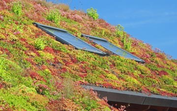 Balevullin living roof systems