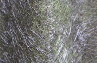 Balevullin fibreglass roof work